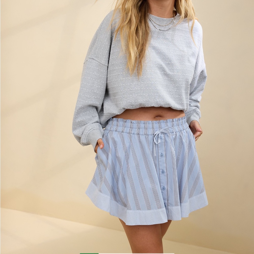 Aerie Striped Blue Skirt